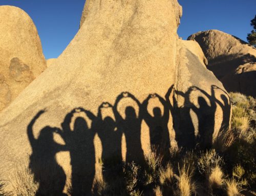 Yoga Teacher Training Silhouette