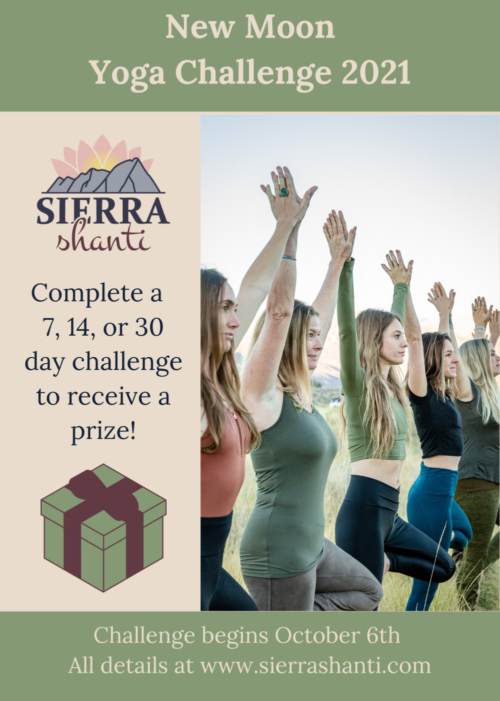 New Moon Yoga Challenge Flyer