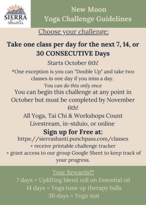 New Moon Yoga Challenge Guidelines
